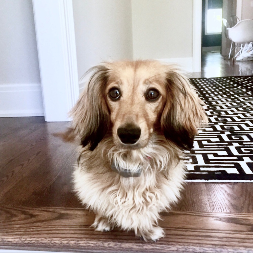 Meet your Posher, Rea